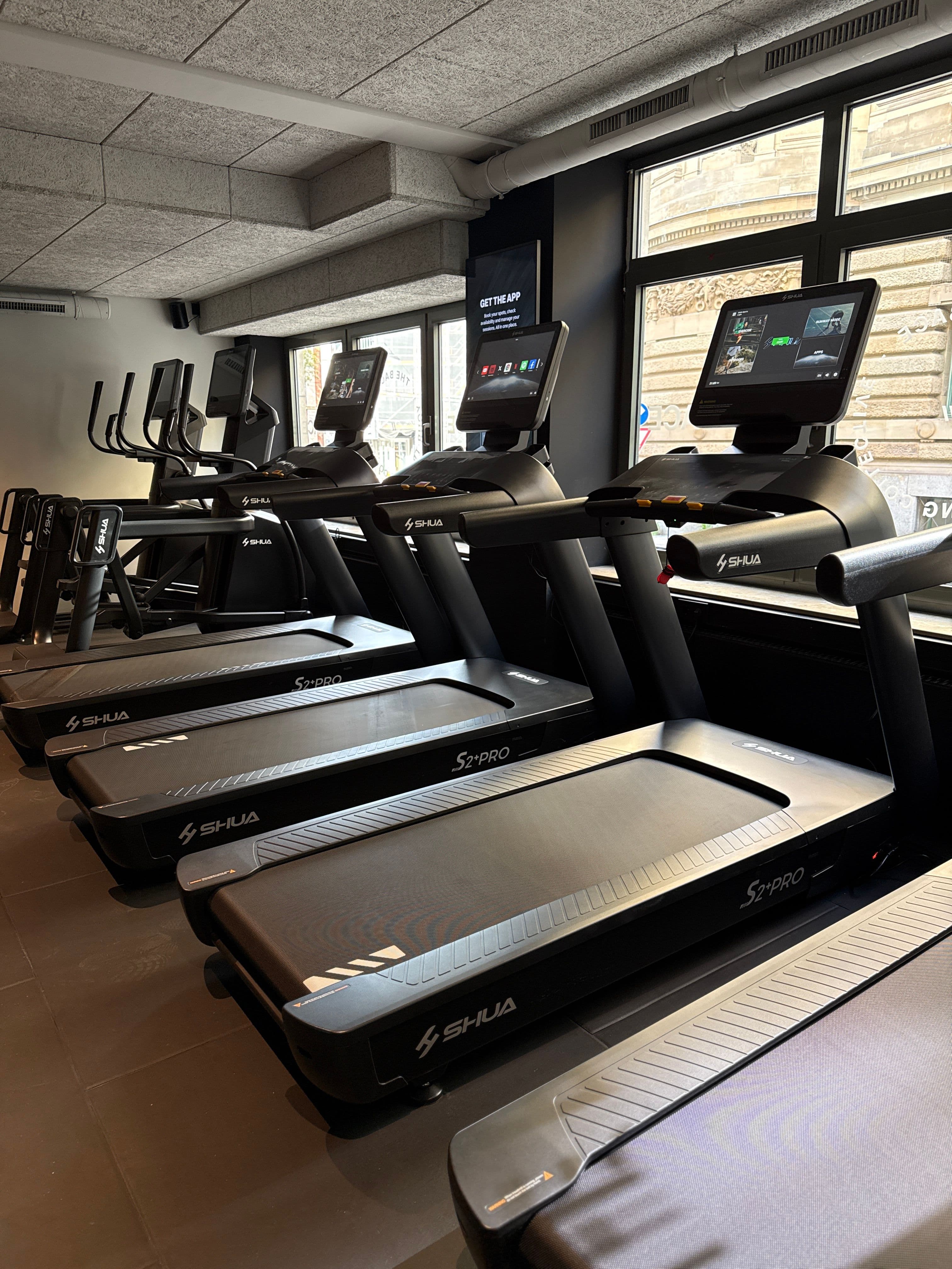 Treadmills and elliptical trainers by the windows in THE BACE’s cardio area.